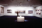 Florida State University Museum of Fine Arts.