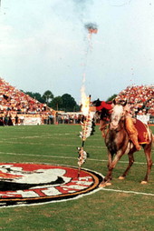 Chief Osceola astride Renegade.