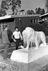 Lion sculpture covered in ice in front of Sigma Alpha Epsilon fraternity house at FSU in Tallahassee.