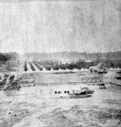 View of DeLand