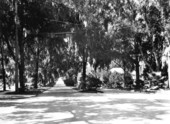 Looking West at Howry and Delaware avenues - De Land, Florida
