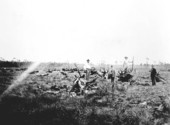 Clearing land in South Farm - Okaloosa County, Florida