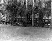 Corral in the Tosohatchee Wildlife Management Area - Orange County, Florida