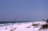 Sunbathers scattered along Gulf Beach - Destin, Florida