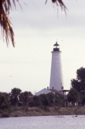 Lighthouse - Saint Marks, Florida