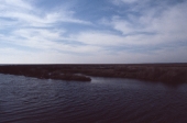 Salt marsh at Adams Beach - Taylor County, Florida