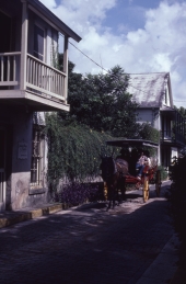 Horse-drawn omnibus on Aviles Street - Saint Augustine, Florida