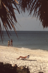 Small section of the beach - Naples, Florida.