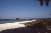 View of the pier from the beach - Naples, Florida.
