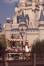 Man pushing flower cart in front of castle - Walt Disney World, Florida