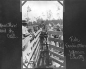 Mule entering a tick eradication vat - Jefferson County, Florida