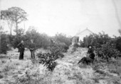 Family posing on their farm - Daytona, Florida