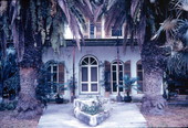 Ernest Hemingway's house - Key West, Florida.