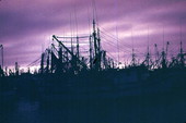 Fleet of shrimp boats as the sun sets over the Keys - Key West, Florida.