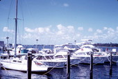 Sea fishing fleet moored out in the water - Miami Beach, Florida.