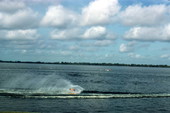 Water skier performs at Cypress Gardens - Winter Haven, Florida
