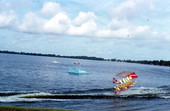 Water skiers perform at Cypress Gardens - Winter Haven, Florida