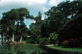 View of the gardens - Winter Haven, Florida