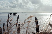 View of the water - Card Sound, Florida