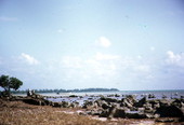 Seashore at Long Key State Park