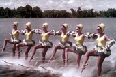 Water skiers performing