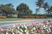 View of Alton Road - Miami, Florida .