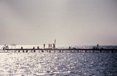 Visitors enjoy the pier