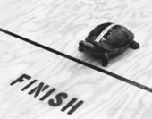 Turtle by finish line at the Miami-Dade Junior College North Campus turtle races - Miami, Florida.