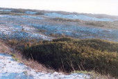 View of the beach and the dunes - Little Talbot Island, Florida .