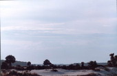 View of sand dunes - Little Talbot Island, Florida