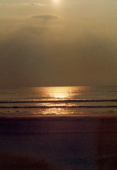 Sunrise at Little Talbot Island State Park - Little Talbot Island, Florida