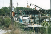 Boats at a marina - Horseshoe Beach, Florida
