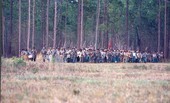 Re-enactment of battle during festival at Olustee Battlefield Historic State Park - Baker County, Florida