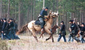 Scene from re-enactment of battle during festival at Olustee Battlefield Historic State Park - Baker County, Florida
