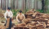 Unidentified boys collecting firewood during battle re-enactment festival at the Olustee Battlefield Historic State Park - Baker County, Florida