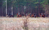 Scene from reenactment of battle during festival at the Olustee Battlefield Historic State Park - Baker County, Florida.