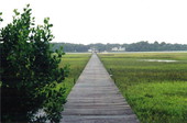 Dock on the south-west end of Big Talbot Island State Park, looking towards Kingsley Plantation - Jacksonville, Florida .