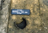 Remains of a ceramic vessel at Big Talbot Island State Park in Jacksonville.