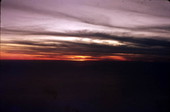 View looking toward the sun - Sarasota, Florida.