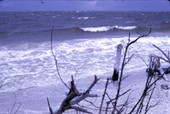 Close-up view showing waves at the seashore - Sarasota, Florida.