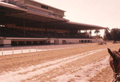 View showing grandstand at the Hialeah Park racetrack.