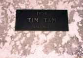 Plaque for Tim Tam at the Hialeah Park racetrack.