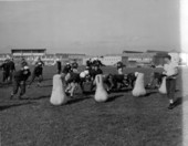 United States Naval Academy football team practicing - Jacksonville, Florida.