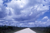 Road in the Everglades.