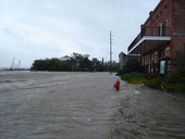 Flooded streets in Apalachicola during Hurricane Dennis.