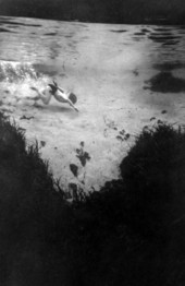 Visitor swimming underwater at the Silver Springs attraction in Ocala, Florida.