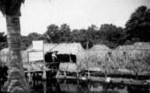 Old Historic Indian Village on the Tamiami Trail in the Florida Everglades.