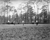 Men golfing in Hibernia.