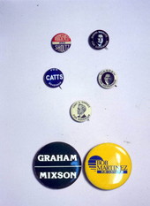 Political pins