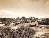 View looking over camp area at Layton's Cottage, Trailer, and Fishing Park - Riviera Beach, Florida.